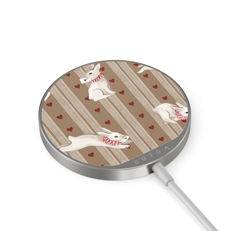 AL_07MC_MAGNETIC_WRLS_CHRG-SILVER