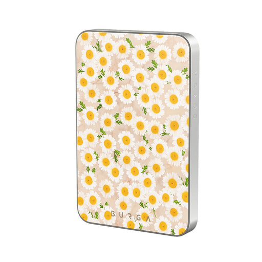 BA_02MS_MagPbank5K-SI