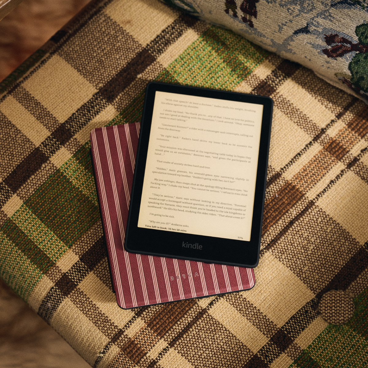 Gingerbread - Kindle Paperwhite (12th Gen) Case | BURGA