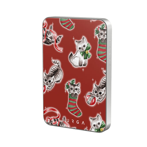 CC_07MS_MagPbank5K-SI