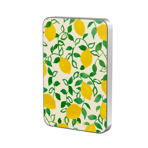 CM_15MS_MagPbank5K-SI