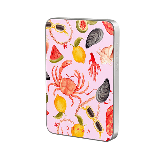 CM_16MS_MagPbank5K-SI