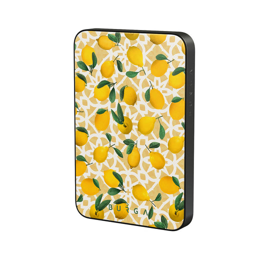 LL_01MS_MagPbank5K-GU