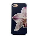 Nectar - iPhone SE (2020) Case 1