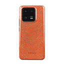 Vintage Edition - Spots Xiaomi 13 Pro Case 1